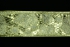 2.5 Inch Gold Wired Christmas Ribbon, Metallic Gold Jacquard Snowflake Pattern, 25 Yards (Lot of 1 Spool) SALE ITEM